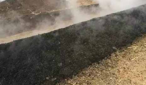雞糞到底對于瓜果是毒藥還是寶？